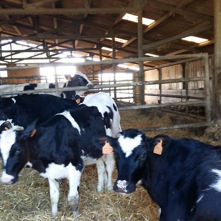 Charmante Maison A La Ferme Valderies Экстерьер фото