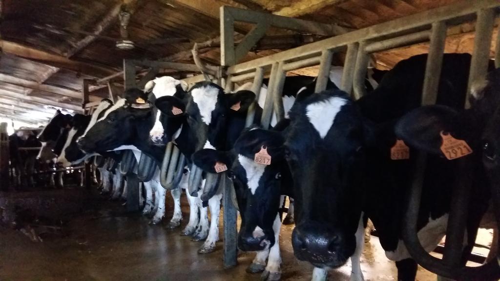 Charmante Maison A La Ferme Valderies Экстерьер фото