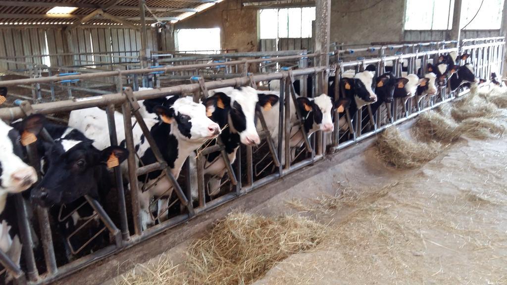 Charmante Maison A La Ferme Valderies Экстерьер фото