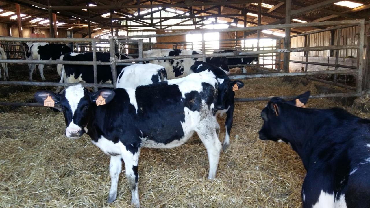Charmante Maison A La Ferme Valderies Экстерьер фото